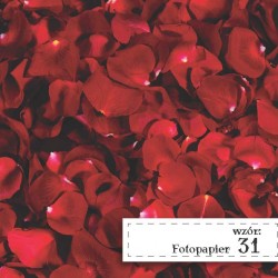 Fotopapier 31 Płatki róży